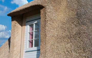 Stamperland thatch roof disadvantages